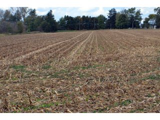 Property photo 65 - EHLE FARMS AUCTION - 118+/- ACRES IN 9 TRACTS IN ALLEN COUNTY, INDIANA